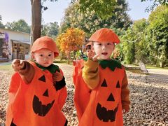 -HERRE·FARM 赫尔露营农场·团建聚会包场