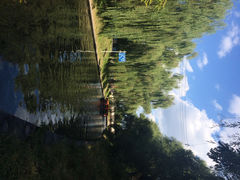 iphone_upload_pic-紫竹院公园冰场