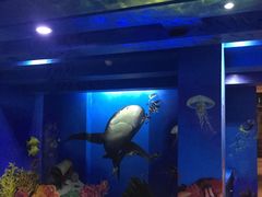 -船奇蒸汽海鲜·闽菜(八市海鲜总店)