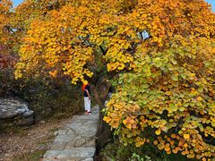 -周口店坡峰岭风景区