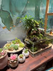 -娇玫荟SPA