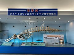 -鹿儿岛水族馆
