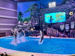 -珠海长隆海洋王国