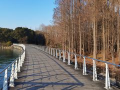 -蠡湖大桥公园