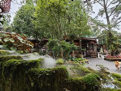 -青城甲(青城山店)