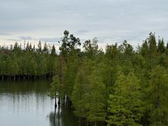 -白鹭湾湿地公园