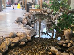 -生如夏花泰式火锅(鹭洲里店)