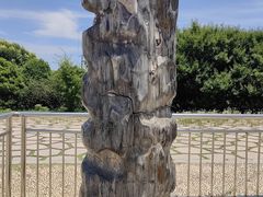 -南京市江宁方山