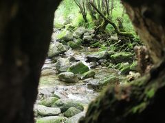 -牛背梁国家森林公园