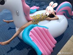 -三亚亚龙湾雅高铂尔曼别墅度假酒店