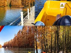 -上海海湾国家森林公园