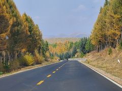 -塞罕坝国家级自然保护区