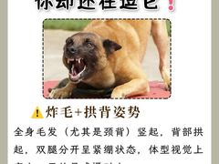 -美联众合动物医院·24h转诊中心