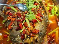 -洞庭家宴·头牌甲鱼(广渠门店)