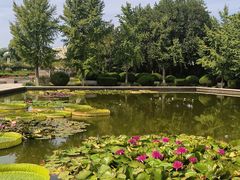 -石家庄市植物园