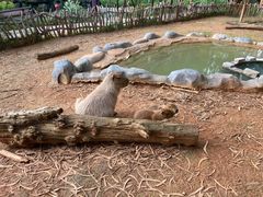 -云南野生动物园