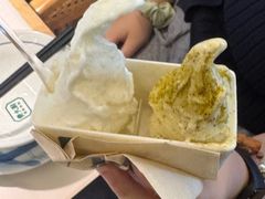-野人先生现做冰淇淋(北京顺义祥云小镇店)
