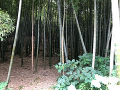 -穹窿山景区