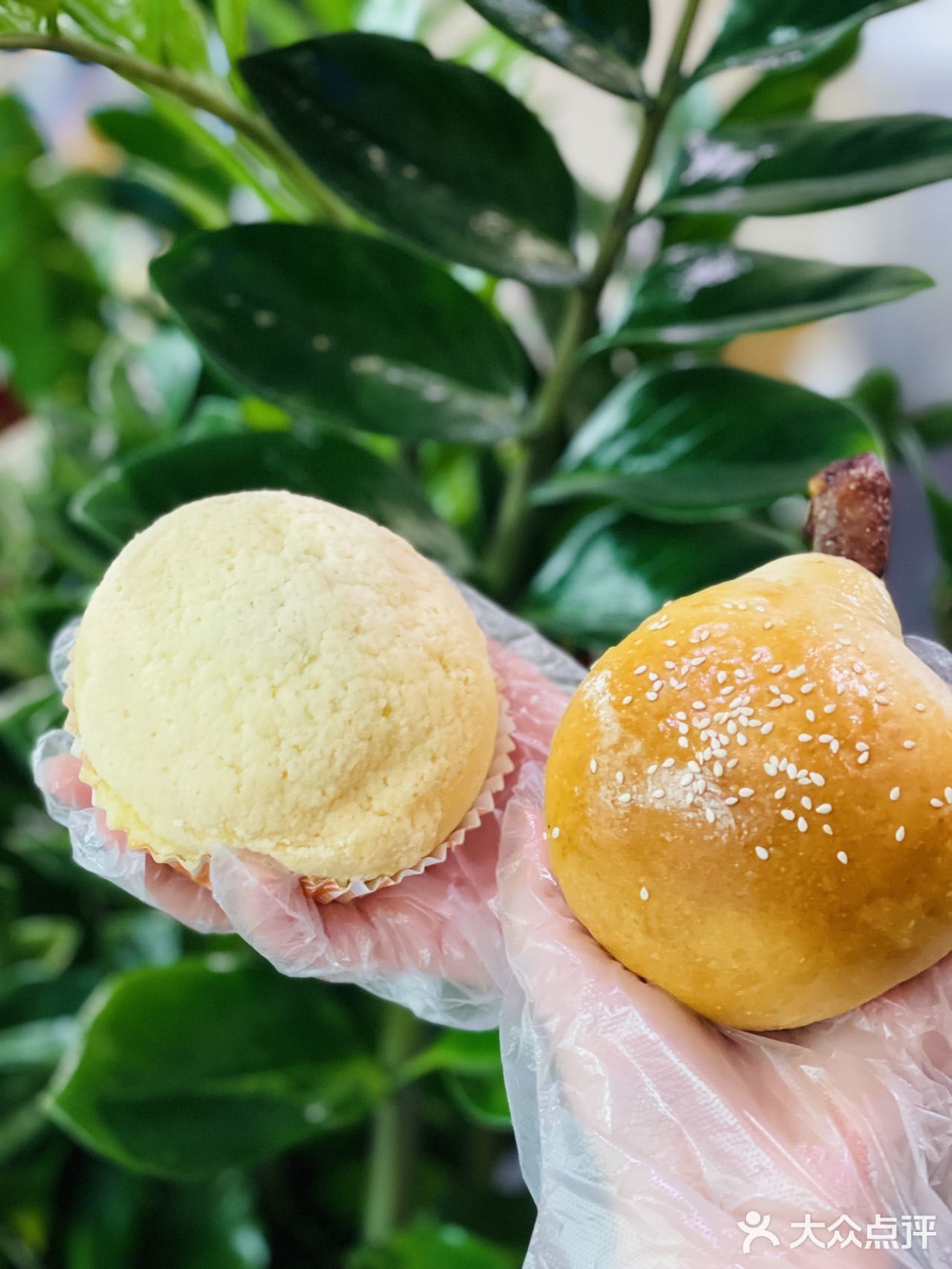 夏日限定！福福饼店和东北大板出联名啦！