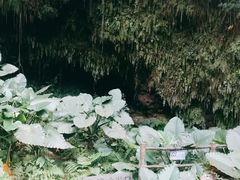 -海口火山口国家地质公园