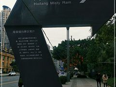 -海棠烟雨公园