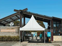 -苏州太湖国家湿地公园