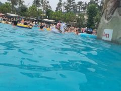 -重庆海昌加勒比海水世界