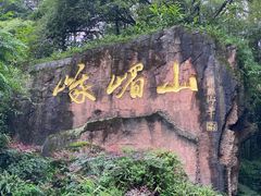-峨眉山报国寺