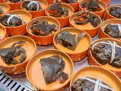 -海底捞大排档火锅(打浦路店)