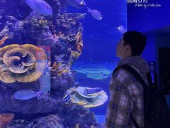 -成都浩海立方海洋公园