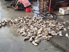 -蚝专家(北滘店)