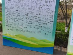 -长田漾湿地公园