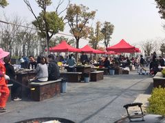 -春花秋色城市公园