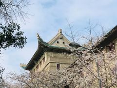 -武汉大学-樱园