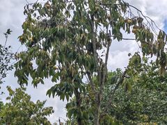 -水上乐园·欢乐世界