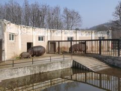 -合肥野生动物园