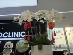 -马泷齿科·成都锦江置略马泷口腔门诊部(IFS国金中心店)