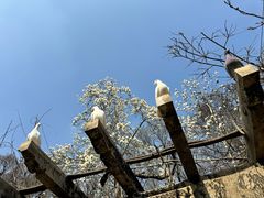 -音乐台