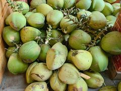 -南国锋味椰子鸡(瀚海店)