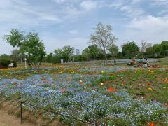 -苏州上方山国家森林公园