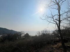 -汤山公园