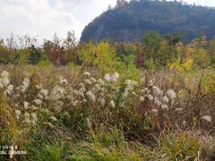 -狼山风景名胜区