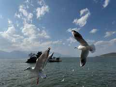 -小普陀