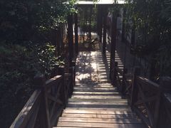 -明月山天沐温泉度假村