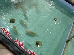 -海龙渔村(万江分店)