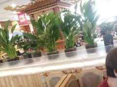 -大清花饺子(山庄店)