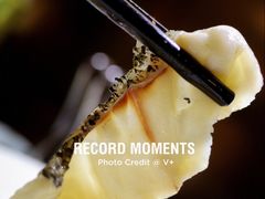 青花椒味砂锅鱼-青花椒花椒鱼(合生汇店)