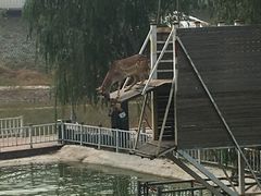 -北京鹿世界主题园