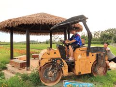 -光明小镇欢乐田园