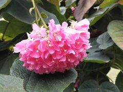 -南宁南湖公园